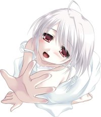 BUY NEW white clarity - 68923 Premium Anime Print Poster